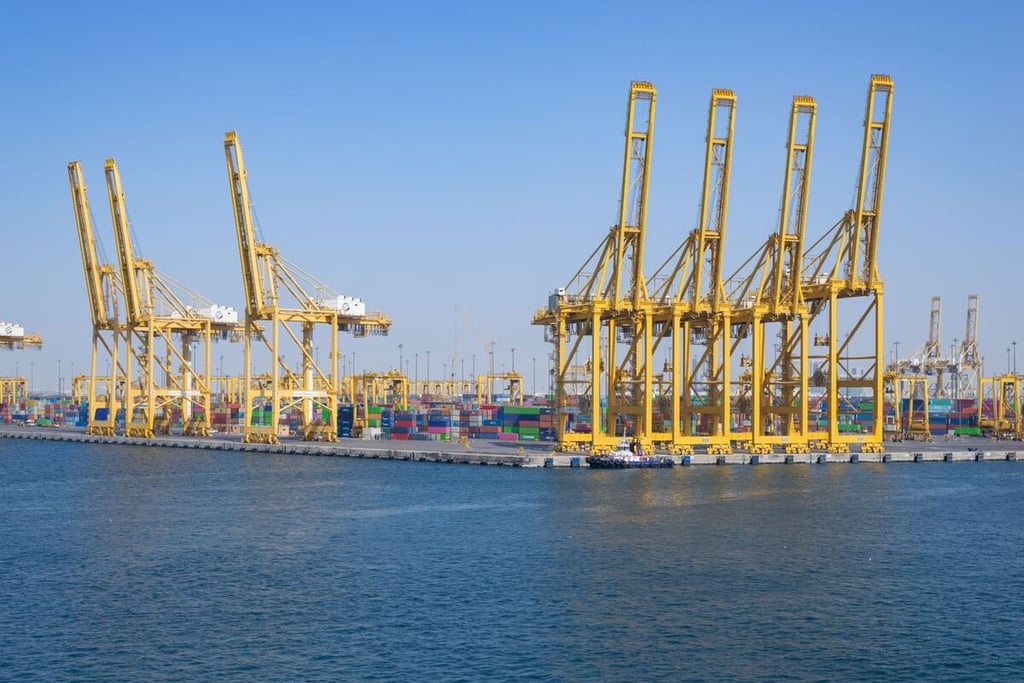 UAE is progressing toward becoming a “global maritime power,” says energy minister