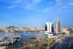 Dubai Chamber of Commerce